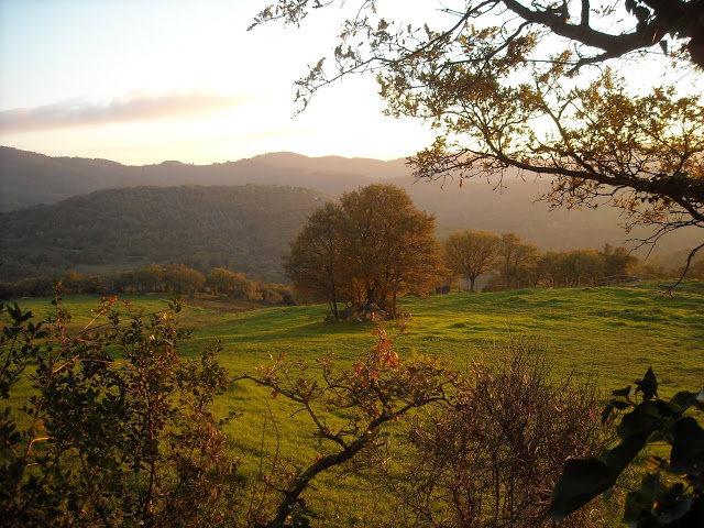 6° MARCIA DEL COLESTEROLO - 13 GENNAIO 2013