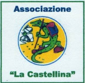 11121269_702077823235001_1050856400_n