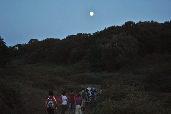 10610495_753024521426028_4299179172991027093_n