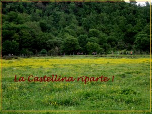 DSCN2142 - Copia (2)