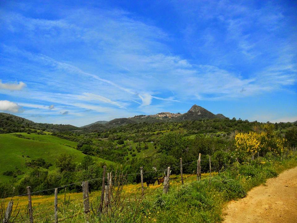 12801383_833203300122452_6237820243952584683_n