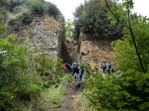 10308214_529560130486772_57660746771551420_n