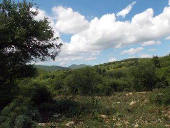 13062136_869374389838676_4238917862168486493_n