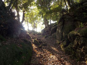 14955923_998849496891164_5345205650049444603_n