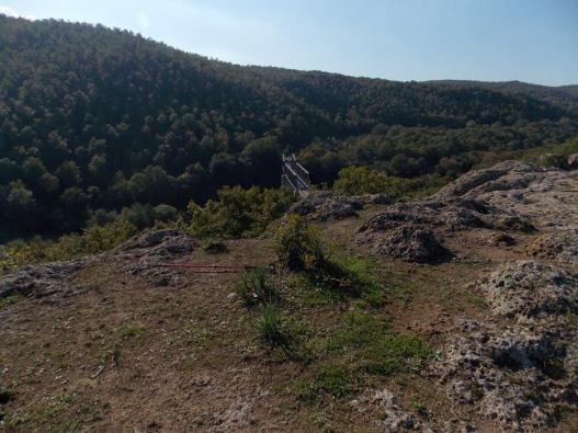 14956011_998849960224451_3344584012214207214_n