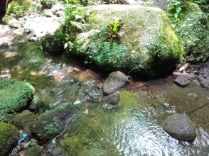 2016-06-06 13.18.54.jpg