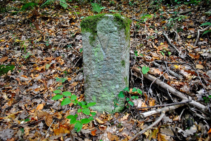 acquedotto cinque bottini 096.jpg