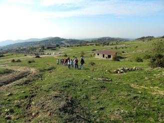 Bosco delle Tufarelle 20 11 2011 013.jpg