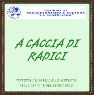 14238081_949954538447327_7162458311970437576_n