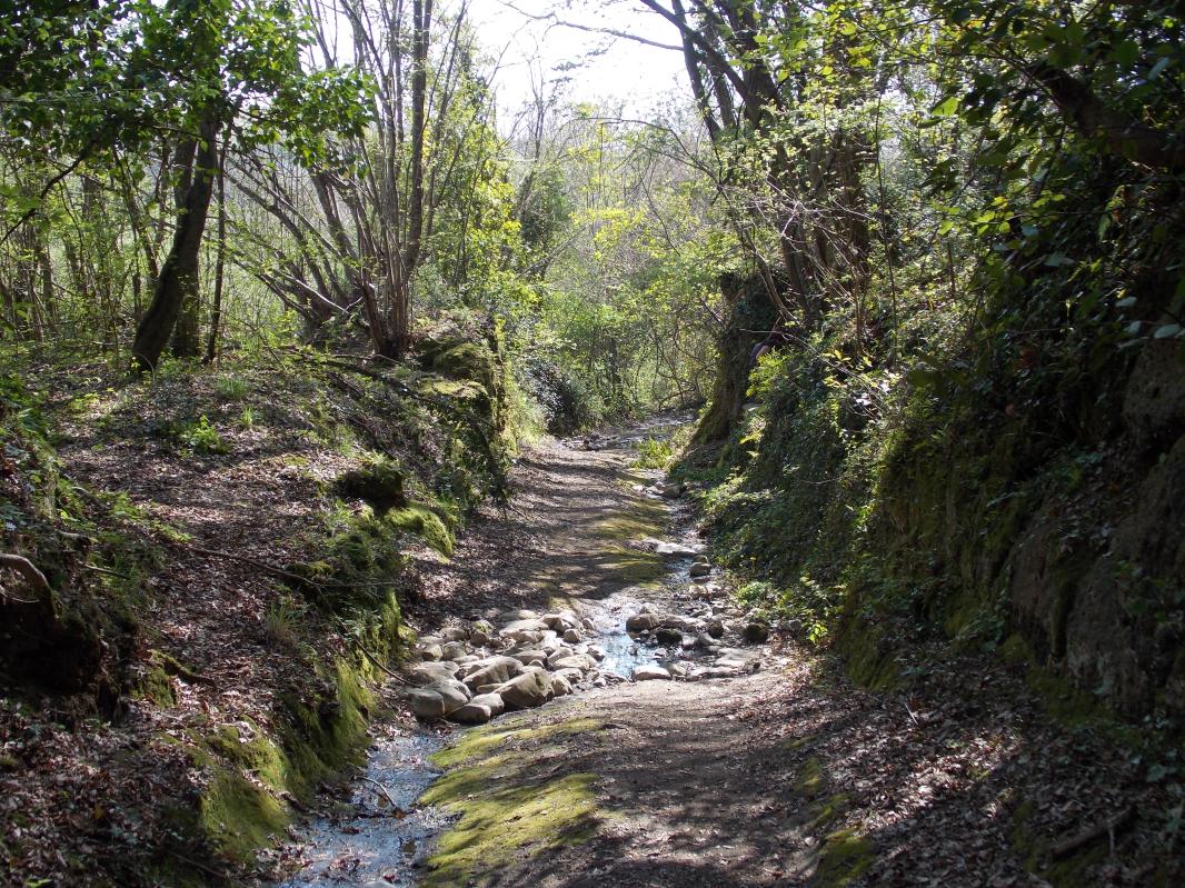 DSCN7033.JPG